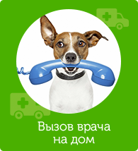blok-4.png